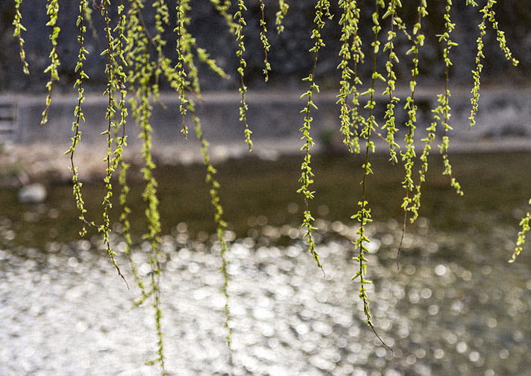 花岡DINING and BAR イメージ